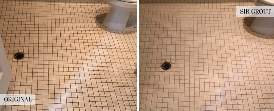 Shower Floor Before and After a Grout Cleaning in Arnold