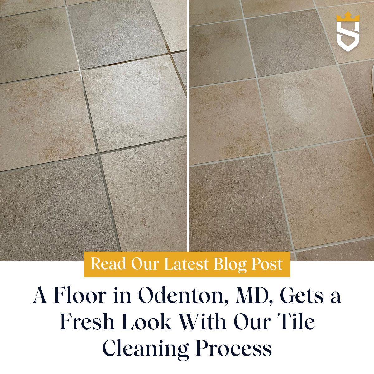 A Floor in Odenton, MD, Gets a Fresh Look With Our Tile Cleaning Process