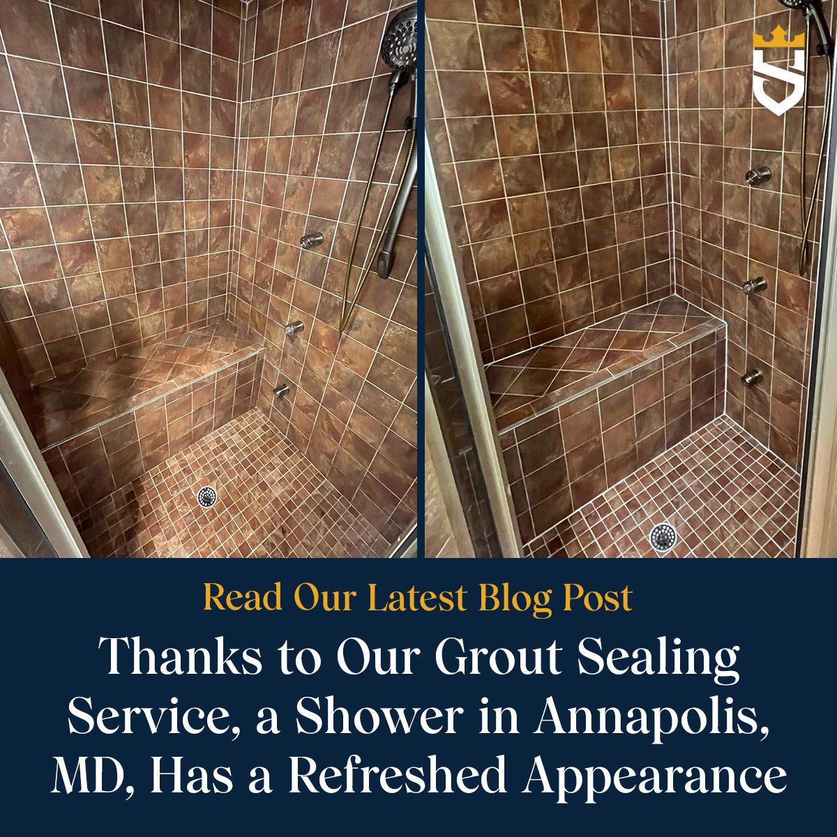 Thanks to Our Grout Sealing Service, a Shower in Annapolis, MD, Has a Refreshed Appearance